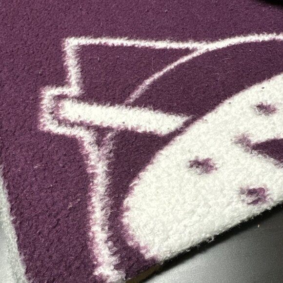 Biederlack Vintage Anaheim Mighty Ducks Fleece NHL Hockey Throw Blanket LG 56X76 - Picture 11 of 11